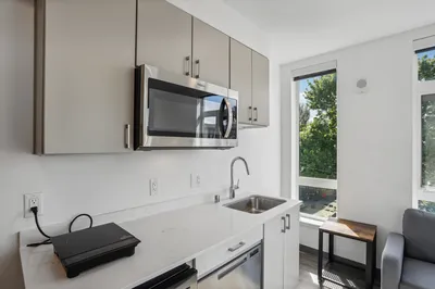 4710 20th Ave NE, Seattle, WA 98105 Kitchen
