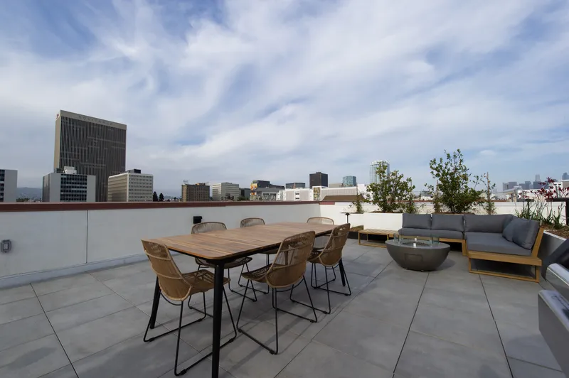 Roof terrace at 738 Normandie in Koreatown, Los Angeles