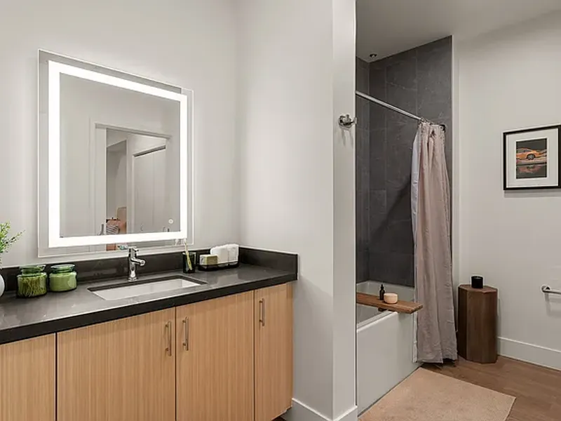 Explore Silhouette Apartments  in DTLA